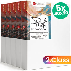 ARTMIE 3D-Leinwand-Set - 5 Stück - 2. Qualität - 40x50 cm